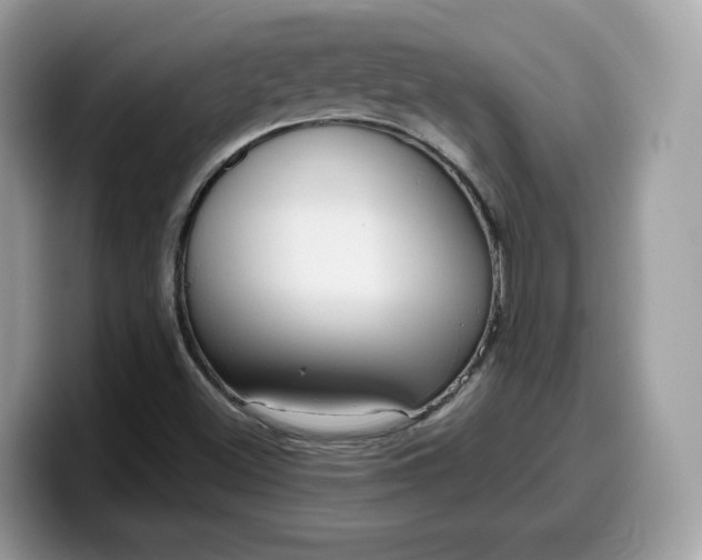 X0000099581500200805301550