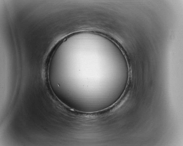 X0000099581501200805301550