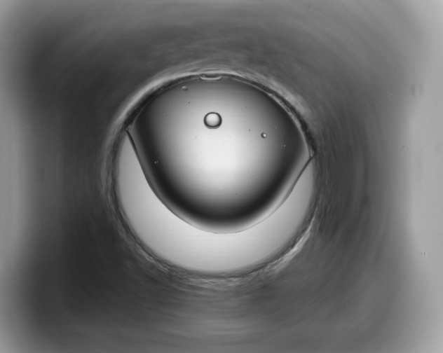 X0000099581502200805301550