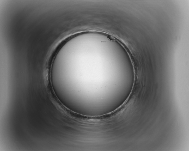 X0000099581503200805301550