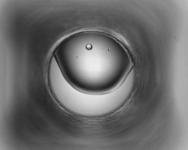 X0000099581504200805301550