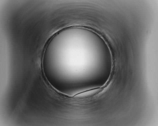 X0000099581505200805301550