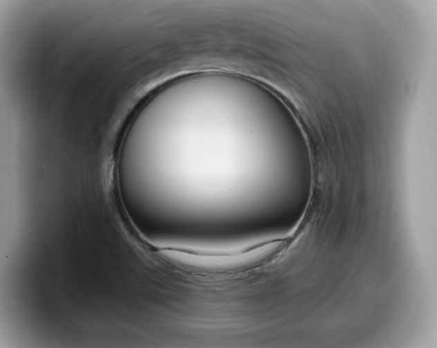 X0000099581507200805301550