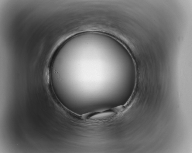 X0000099581509200805301550