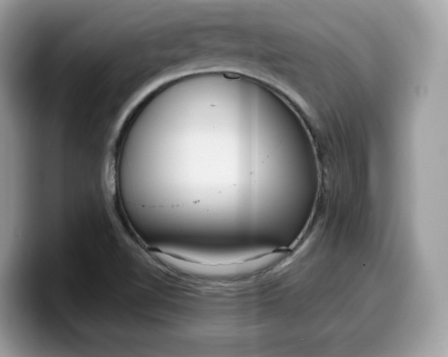 X0000099581510200805301550