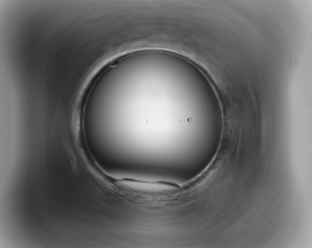 X0000099581511200805301550