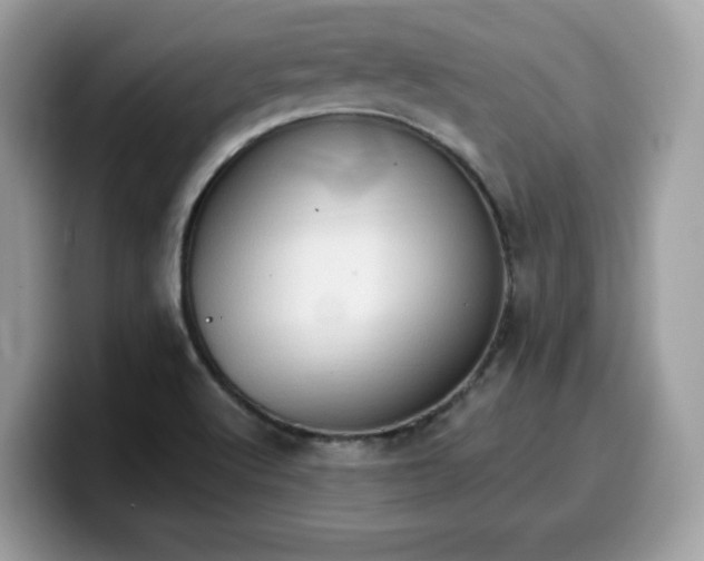 X0000099581512200805301550