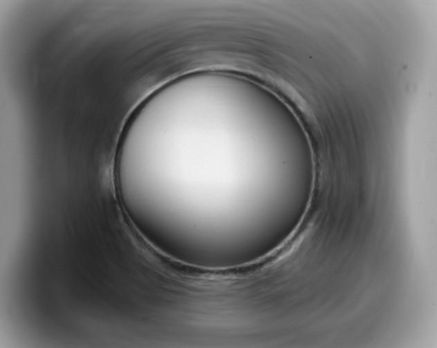 X0000099581513200805301550