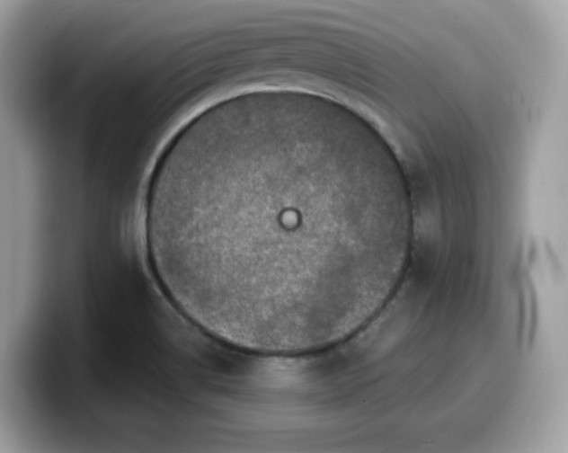 X0000099581514200805301550