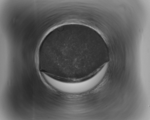 X0000099581515200805301550