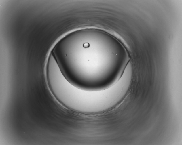 X0000099581516200805301550