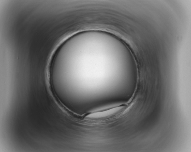 X0000099581517200805301550