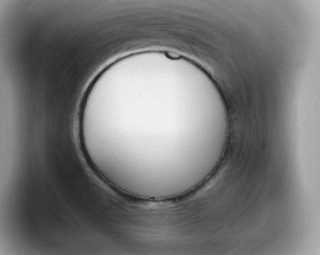 X0000099581518200805301550