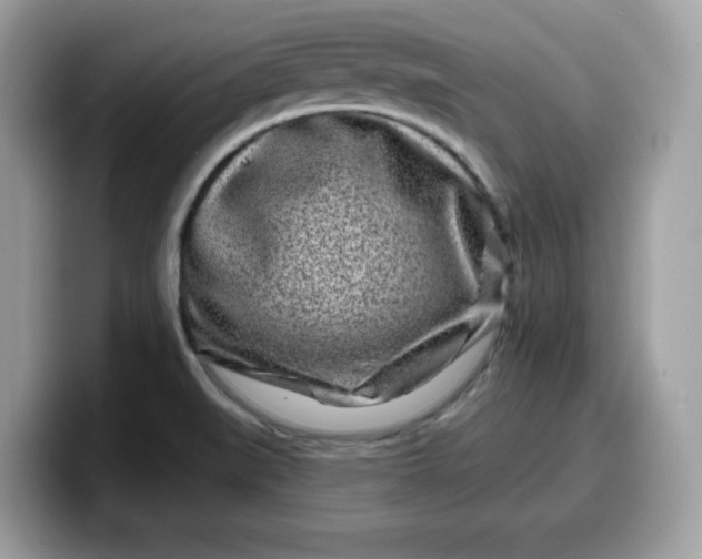 X0000099581519200805301550