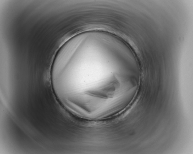 X0000099581521200805301550