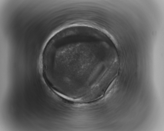 X0000099581522200805301550