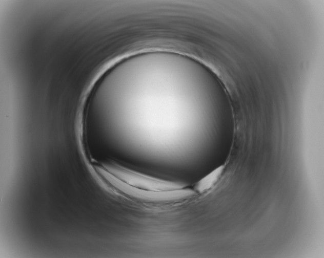 X0000099581523200805301550