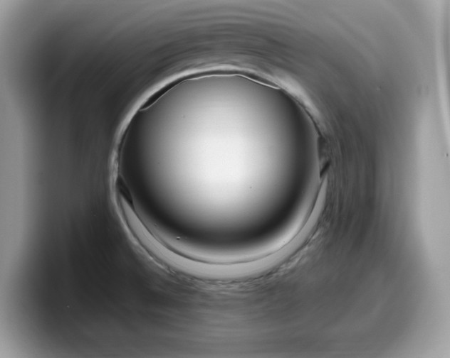 X0000099581524200805301550