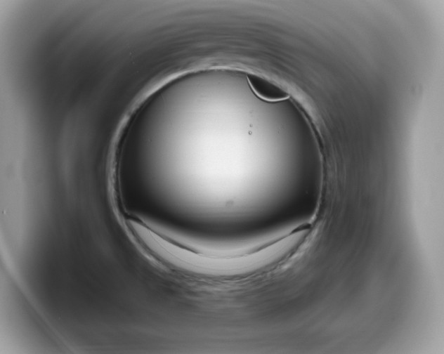 X0000099581525200805301550