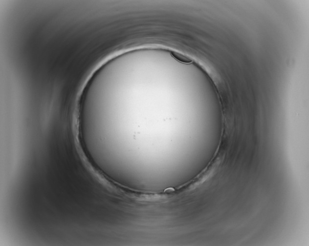 X0000099581526200805301550