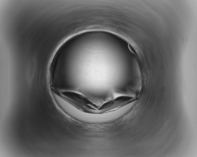 X0000099581527200805301550