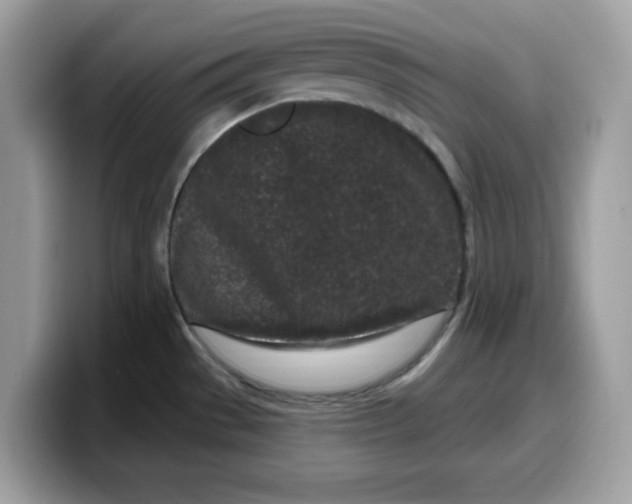 X0000099581529200805301550