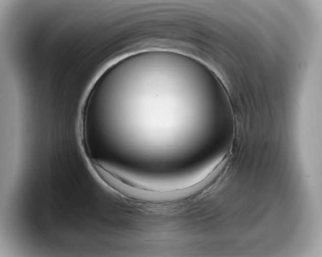 X0000099581531200805301550