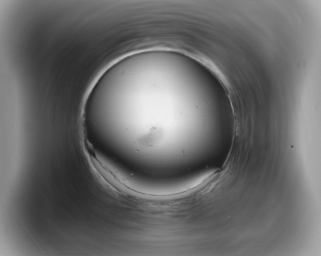 X0000099581532200805301550