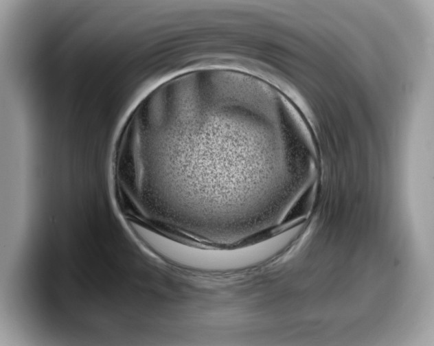 X0000099581533200805301550