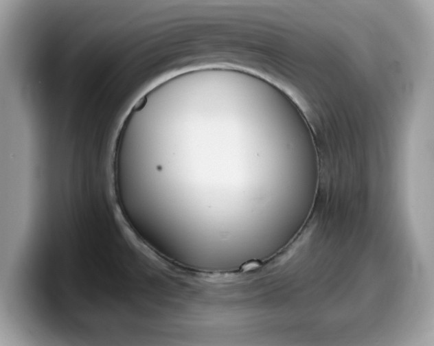 X0000099581534200805301550