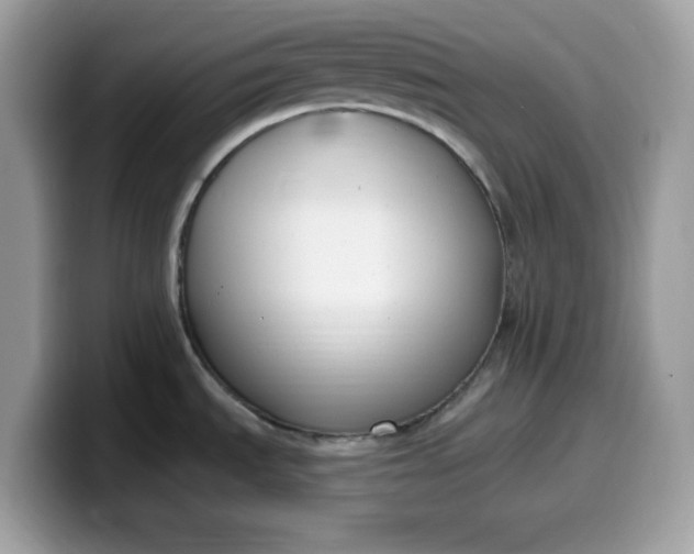 X0000099581535200805301550