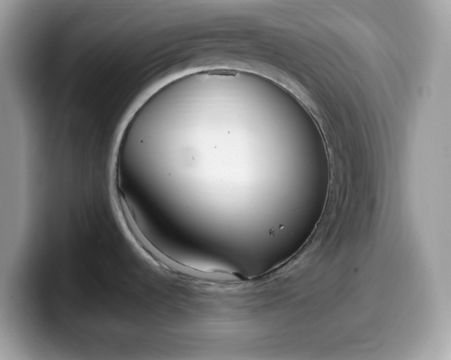 X0000099581536200805301550