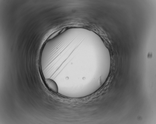 X0000099580003200806061638