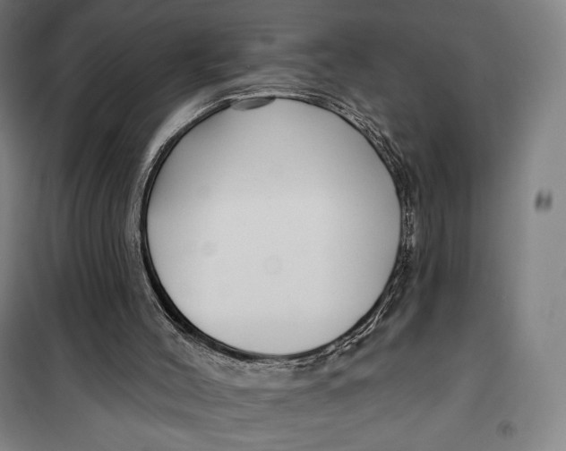 X0000099580004200806061638