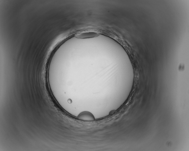 X0000099580006200806061638