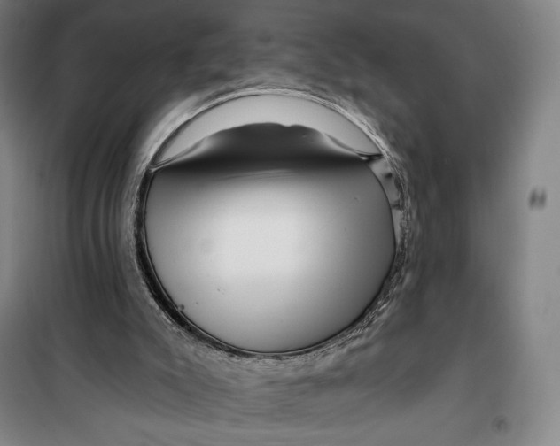 X0000099580007200806061638