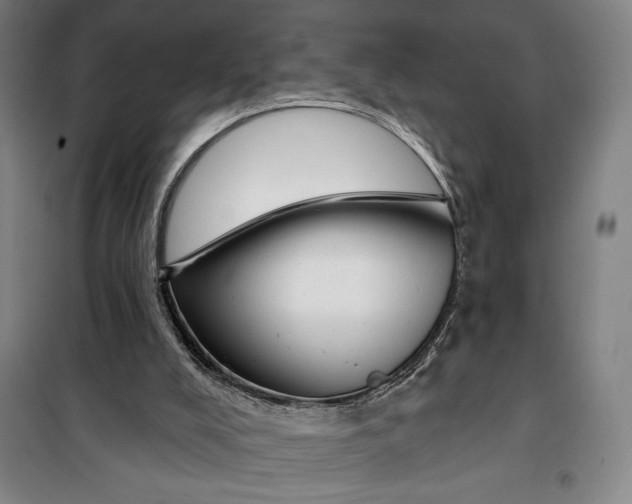 X0000099580008200806061638