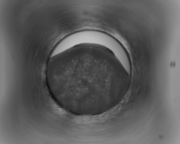 X0000099580009200806061638