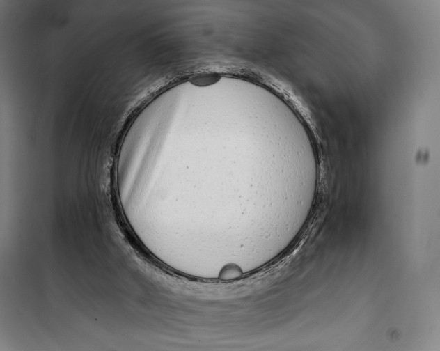 X0000099580010200806061638