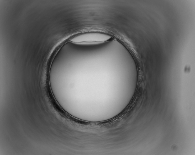 X0000099580012200806061638