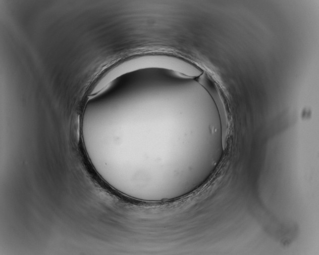 X0000099580013200806061638