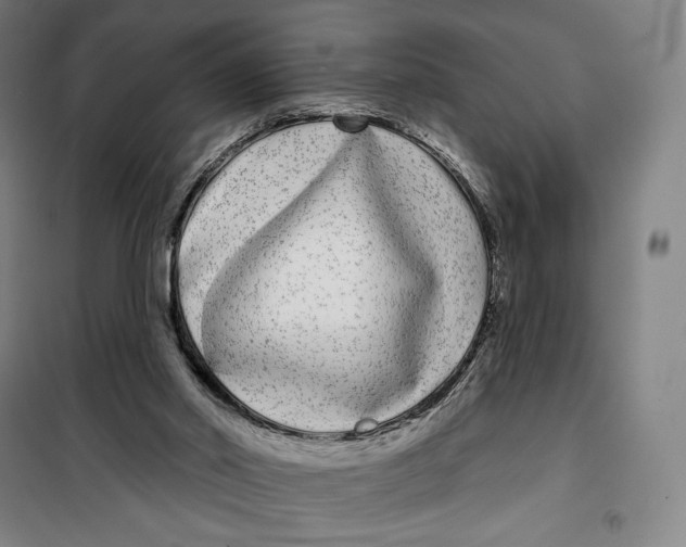 X0000099580014200806061638