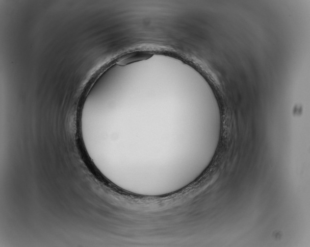 X0000099580015200806061638