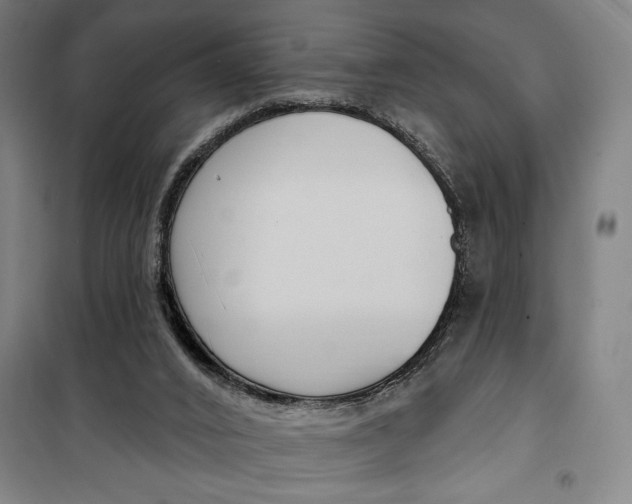 X0000099580016200806061638