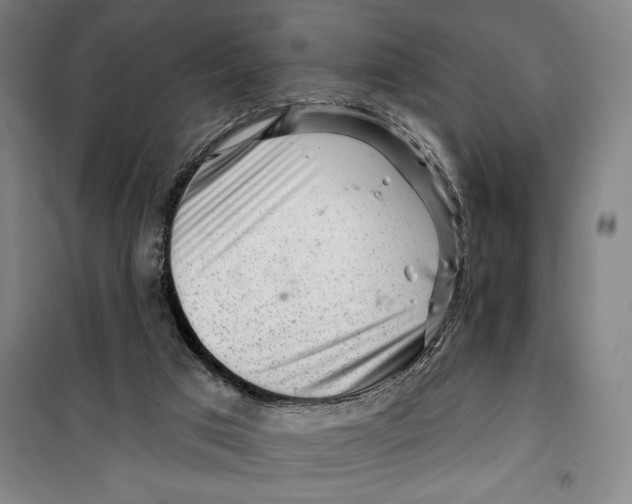 X0000099580017200806061638