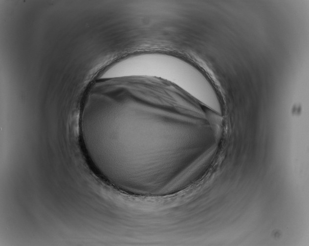 X0000099580019200806061638