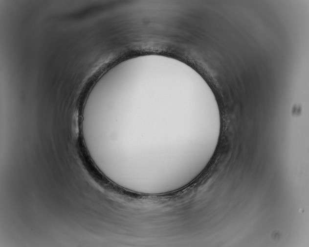 X0000099580020200806061638