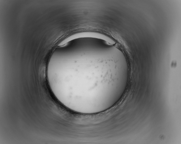 X0000099580021200806061637