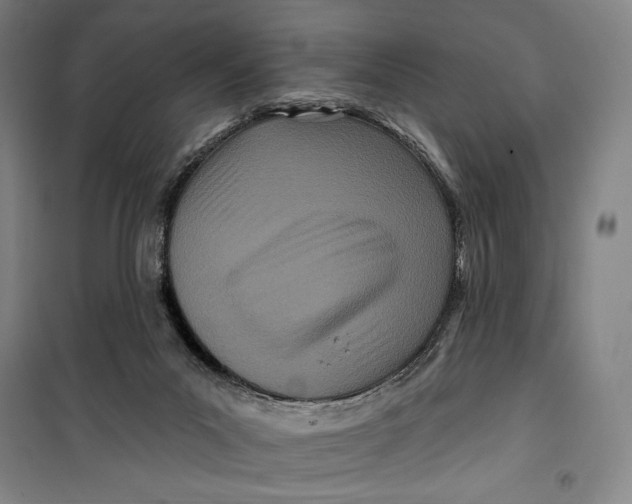 X0000099580023200806061637