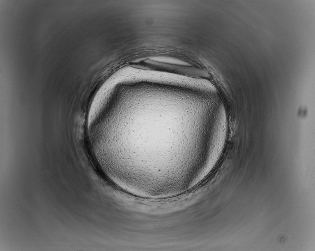 X0000099580026200806061637